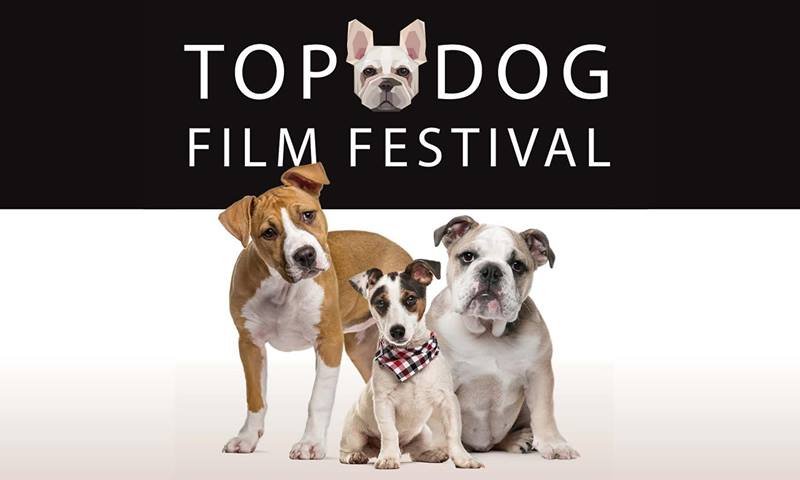 Photo From Top Dog Film Festival Facebook Page